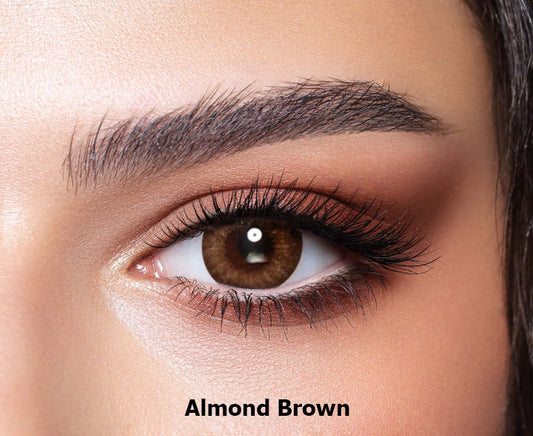Buy 1 Get 1 Free - Almond Brown - Ash Brown